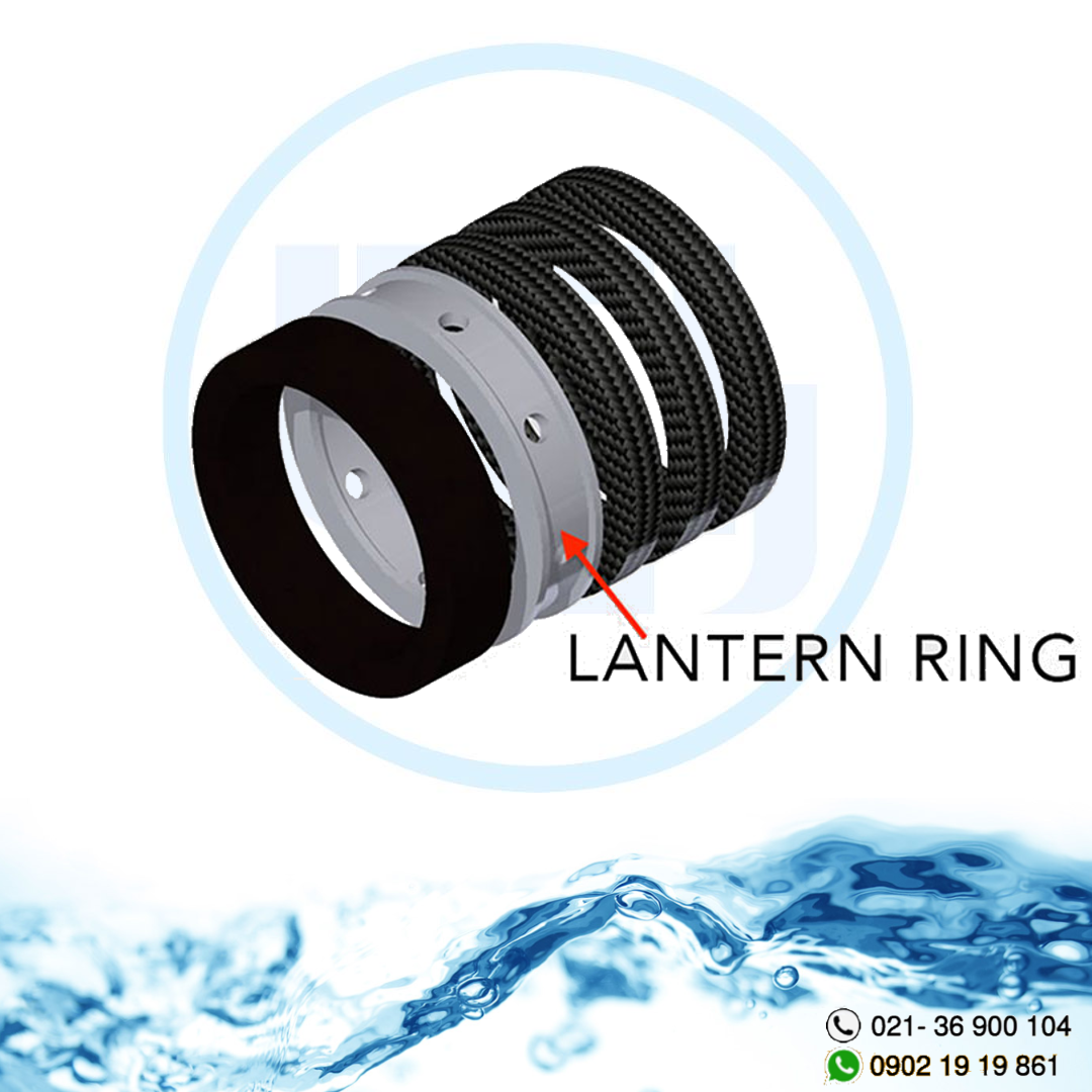  حلقه فانوسی (lantern ring)